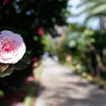 Grand Cocumella سانتّانييلّو